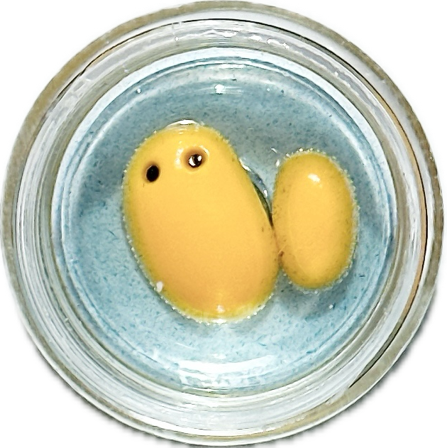 【無個性‐mukosei-】食中毒マグネット