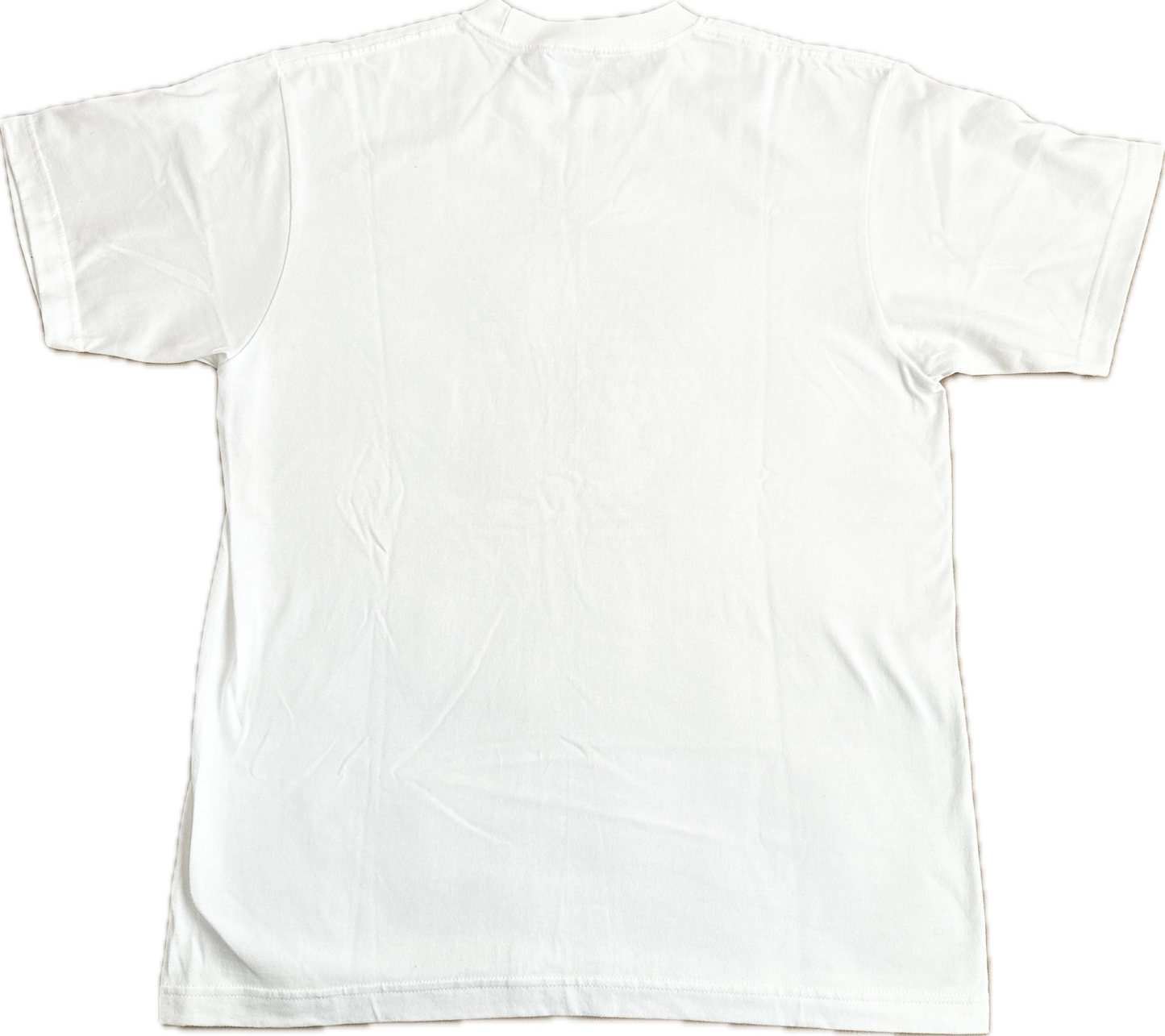 【Kyorome】パイ食い競争Tシャツ Lサイズ